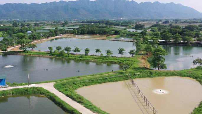 航拍南方农村鱼塘养殖山水