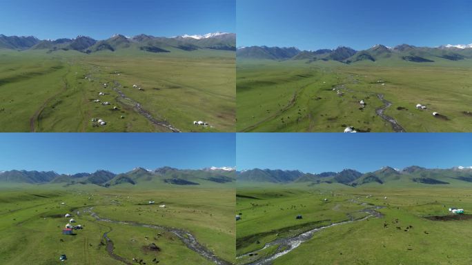 西部边陲新疆伊犁河谷美景