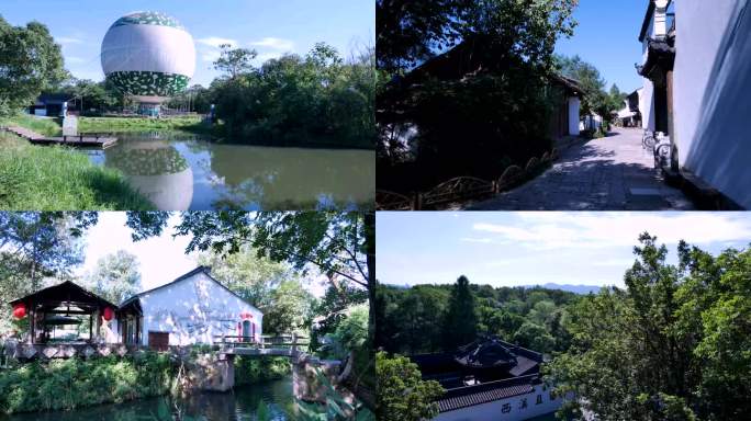 杭州国家西溪湿地公园4K视频合集