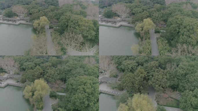 4k上海普陀公园实拍