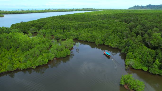 泰国攀牙省红树林湿地河中4k鸟瞰小车倾斜长尾船