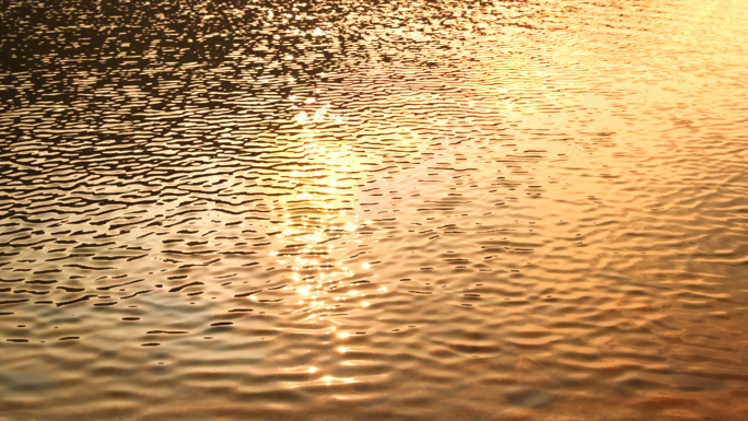 光影湖水海水阳光夕阳大自然