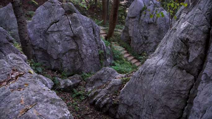 杭州凤凰山月岩石灰岩石林4K视频合集