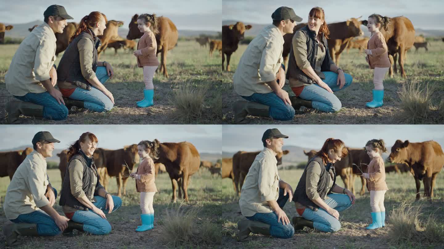 农场里有奶牛的农村家庭。放牧时，父母在开阔的草地上与小女孩和牲畜玩耍。致力于可持续有机农业的年轻农民