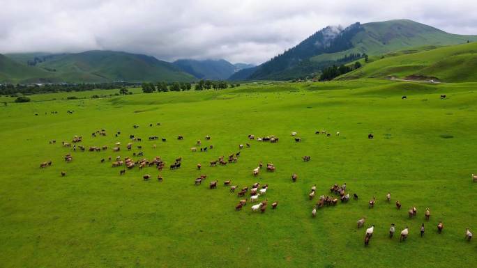 中国新疆自然风光4k航拍