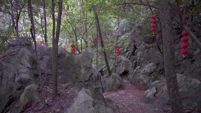 杭州西湖三天竺法镜寺三生石姻缘石4K视频
