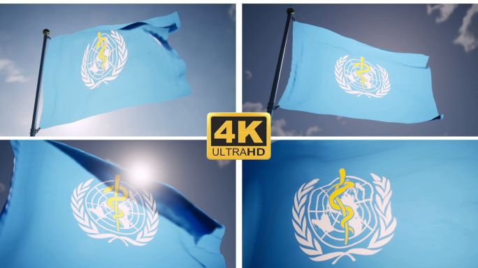 世界卫生组织旗帜LOGO