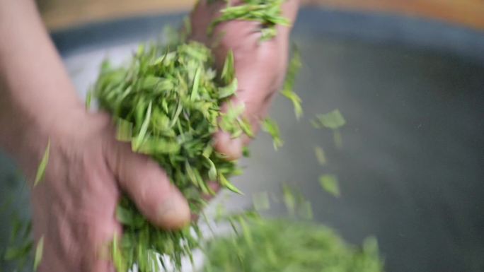 传统手工茶叶加工制作实拍视频素材