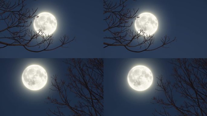 满月唯美月亮十五的月亮