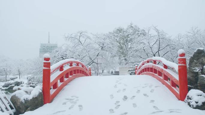 武汉东湖磨山樱花园冬季雪景风光