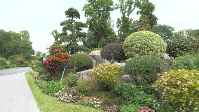 东莞植物园百花涧 (2）