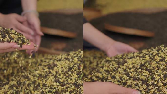 桂花茶制作桂花陈铁乌龙茶茶叶窨制粉镜头