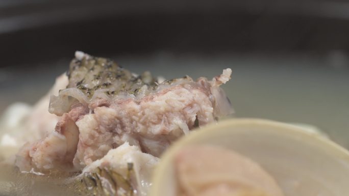 黄鲷鱼炖青蛤汤合集