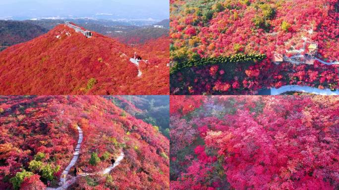 巩义竹林-长寿山-红叶