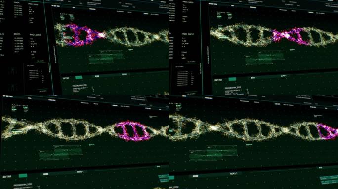 DNA分析接口监视器