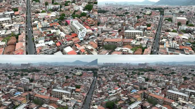 泉州城市上空飞翔的鸽子飞鸟4K60帧