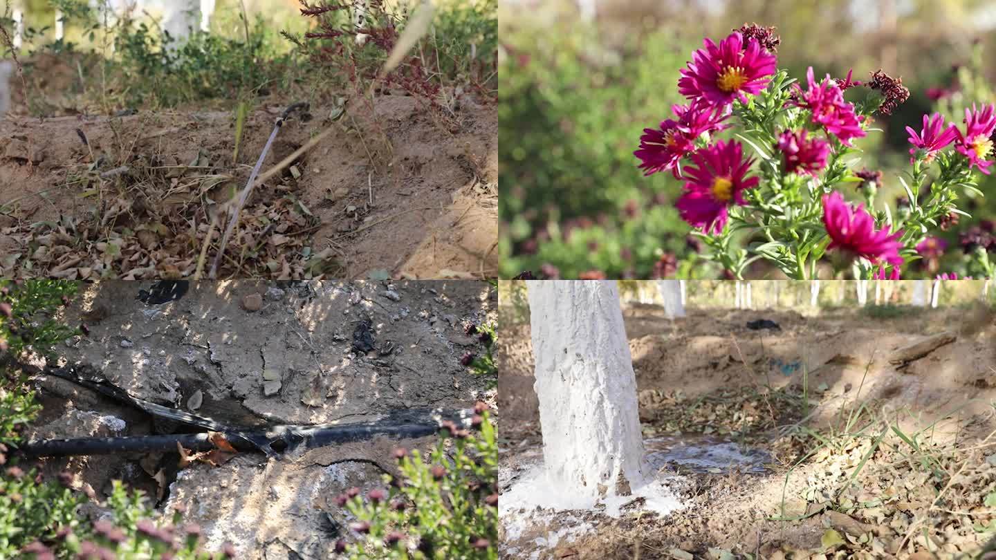 节水灌溉 节水喷灌 节约用水