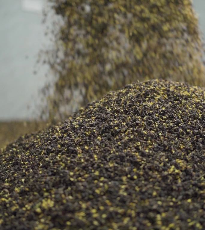 桂花茶制作桂花香片茶叶窨制特写