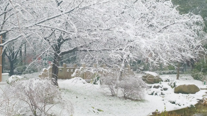 武汉东湖磨山樱花园冬季雪景风光