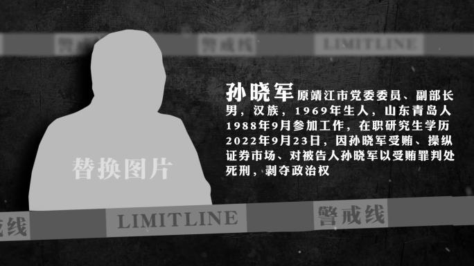 反腐 警示 纪委嫌疑人介绍AE模板