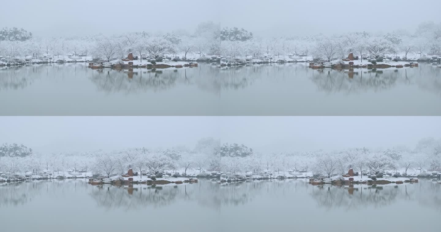 武汉东湖磨山樱花园冬季雪景风光