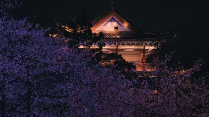 武汉夜景与樱花景观