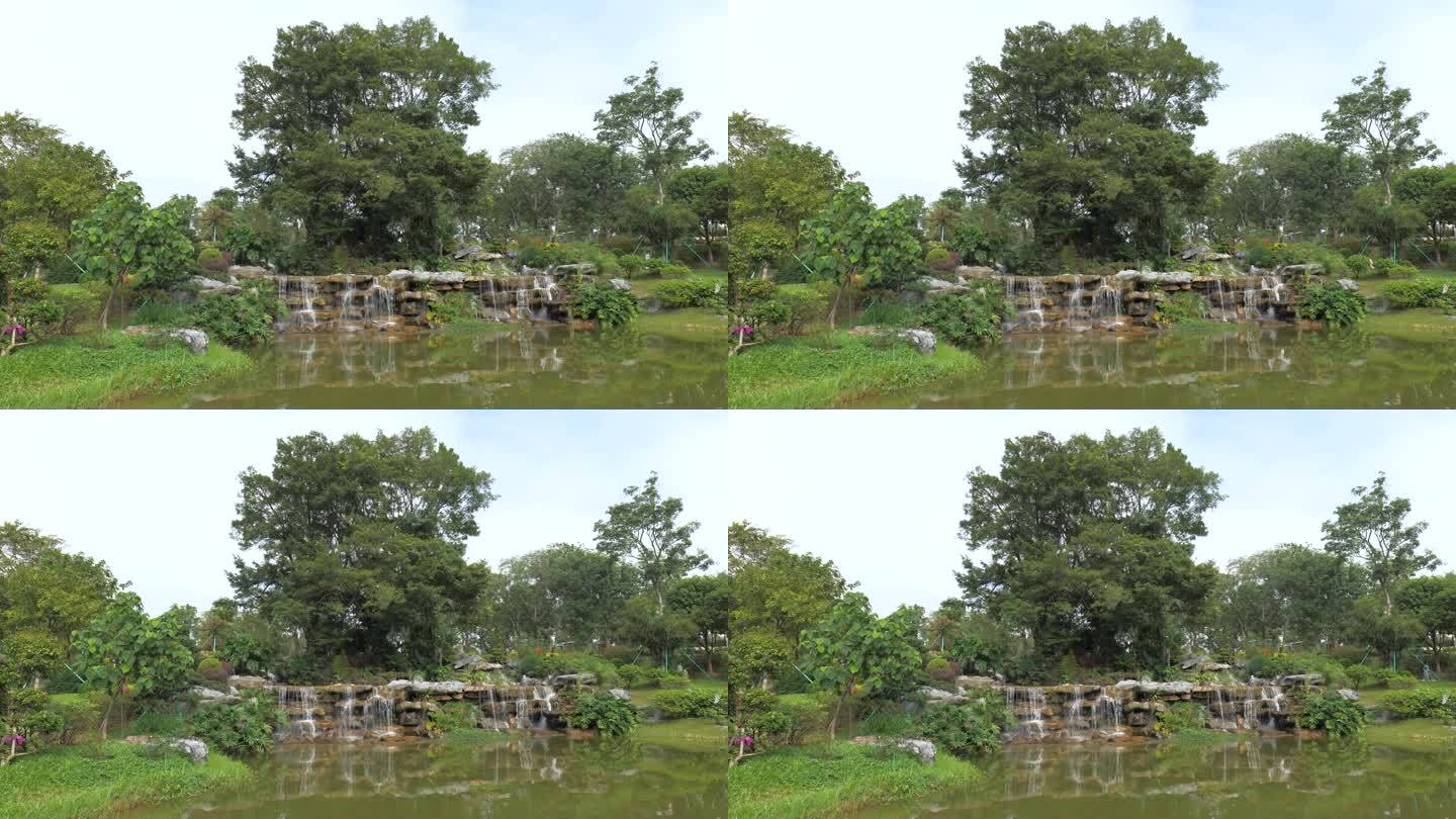 东莞植物园 (6)