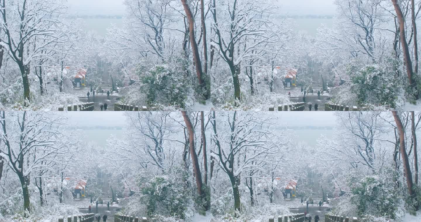 武汉东湖磨山樱花园冬季雪景风光