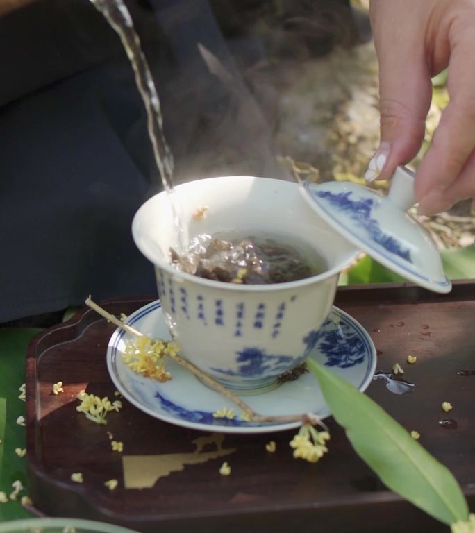 沏茶茶文化户外泡桂花茶泡茶桂花乌龙