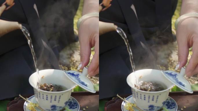 沏茶茶文化户外泡桂花茶泡茶桂花乌龙