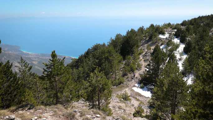 与狗一起在阿尔巴尼亚南部的森林和山区徒步旅行