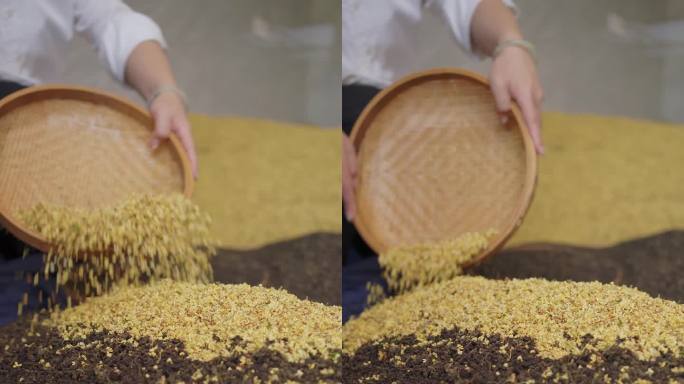 竖屏桂花茶制作桂花香片茶叶窨制粉镜头