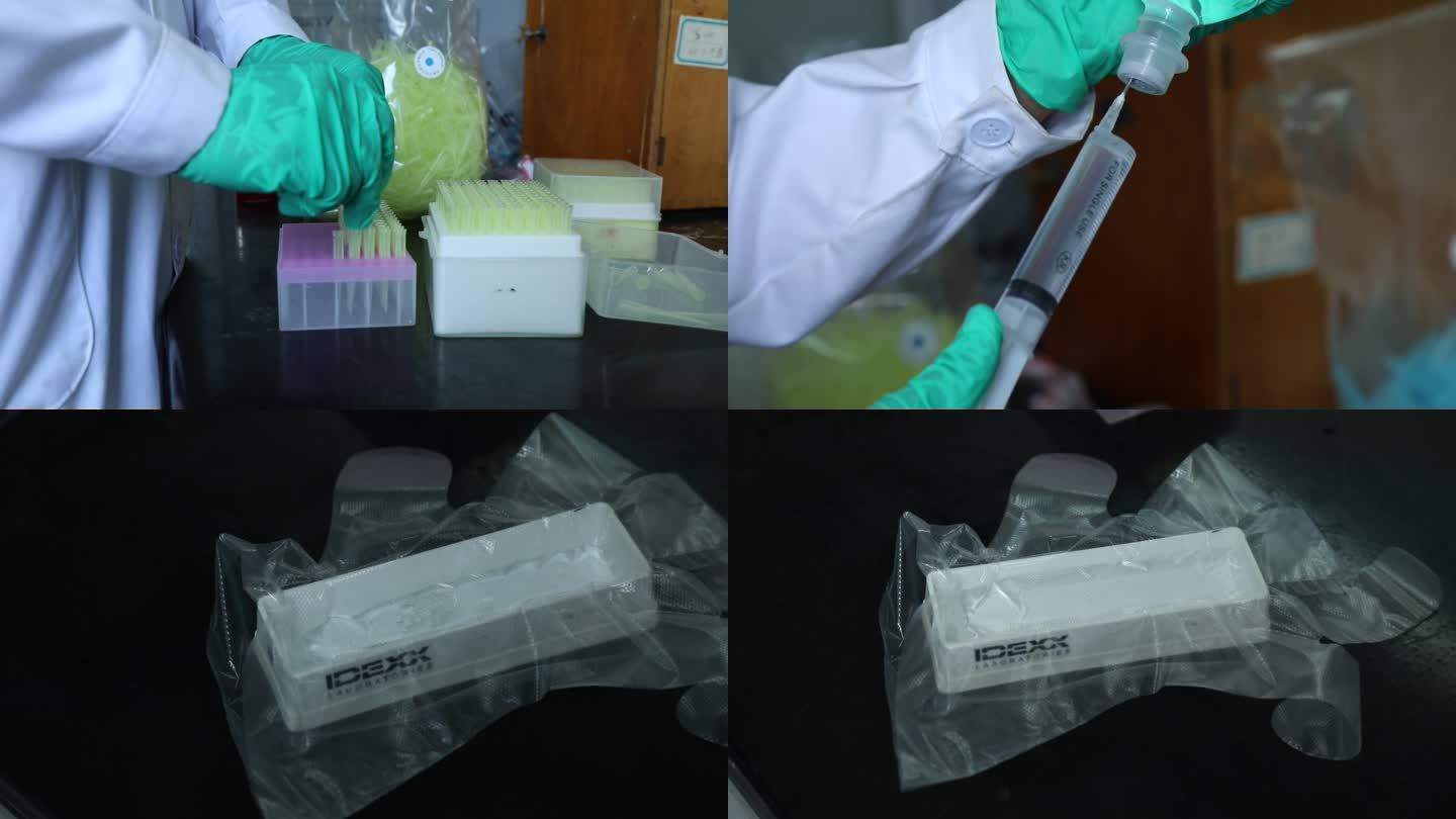 动物实验 血液检测 血凝实验 配稀释药品