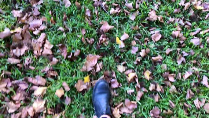 在秋天落叶中漫步草地散步秋天落叶马丁靴