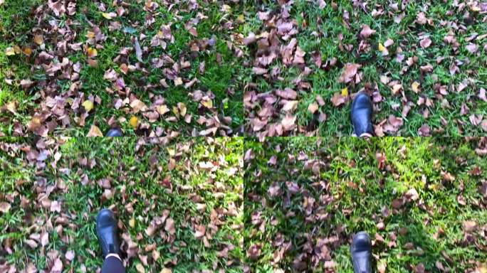 在秋天落叶中漫步草地散步秋天落叶马丁靴