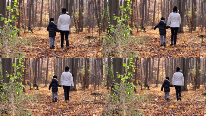 魁北克的秋天，母亲和儿子在森林里散步