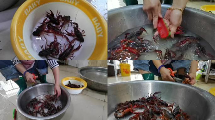 小龙虾 洗虾