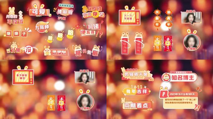 原创兔年新春花字包装模板