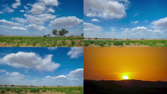 延时拍摄腾格里沙漠绿洲云朵日落