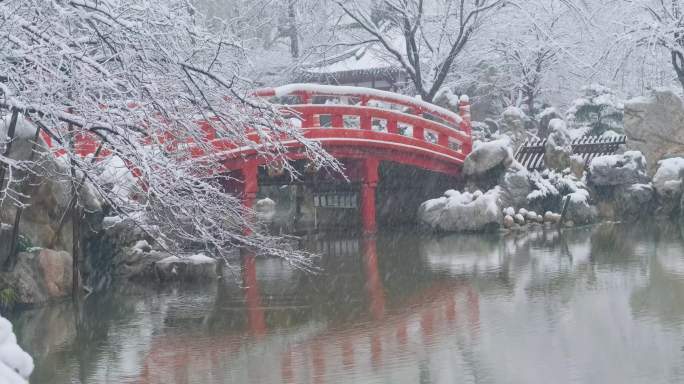 武汉东湖磨山樱花园冬季雪景风光