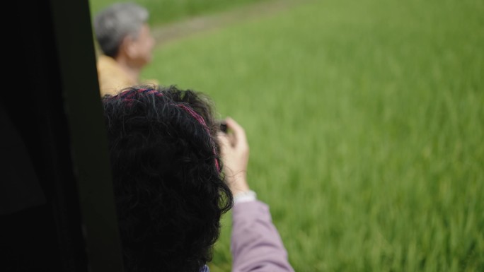 一名亚裔中国老年男子在稻田前用智能手机摄像头为妻子拍照
