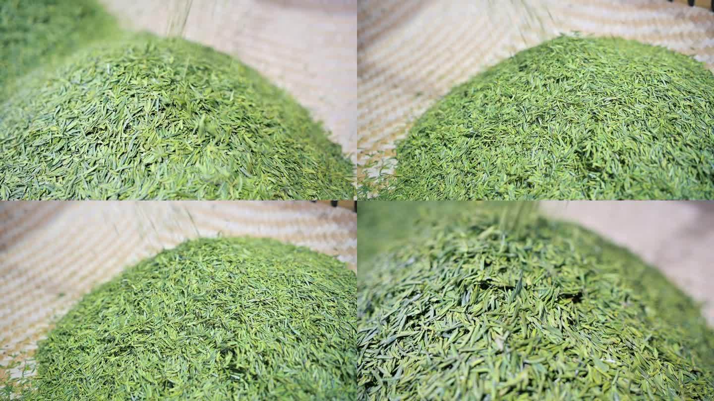 绿茶制作竹叶青茶叶机制茶加工生产