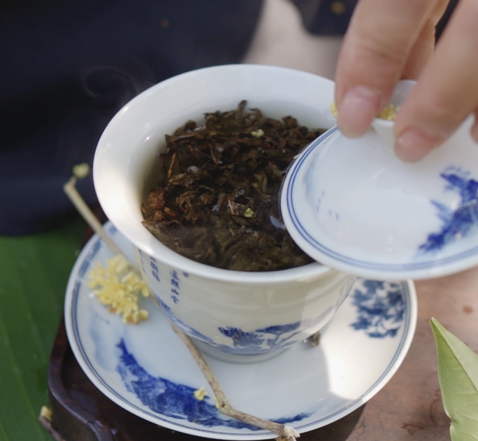 茶文化户外泡桂花茶泡茶桂花乌龙赏秋山野