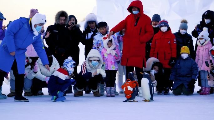 太阳岛雪博会—— 企鹅