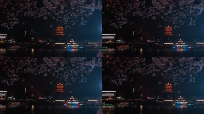 武汉夜幕下的黄鹤楼与樱花同框