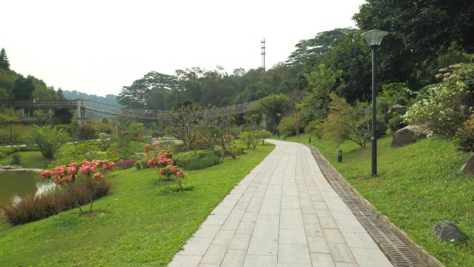 东莞植物园 (7)