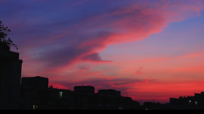 朝霞花开