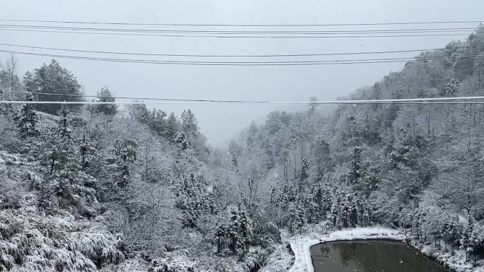 林海雪景实拍慢动作