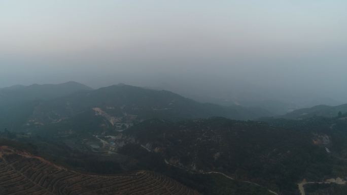 航拍山坡树林12