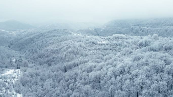 冬季天线。飞越被雾覆盖的雪山。